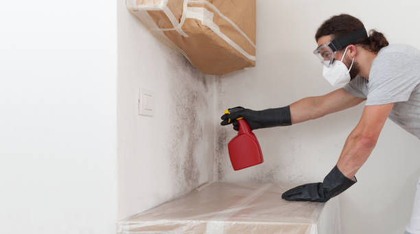 Professional Attic Mold Removal technician working in Mendham, NJ