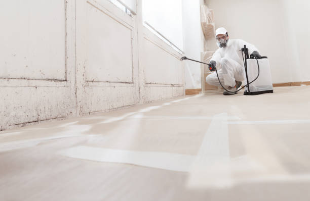 24/7 Emergency Attic Mold Removal experts in Mendham, NJ
